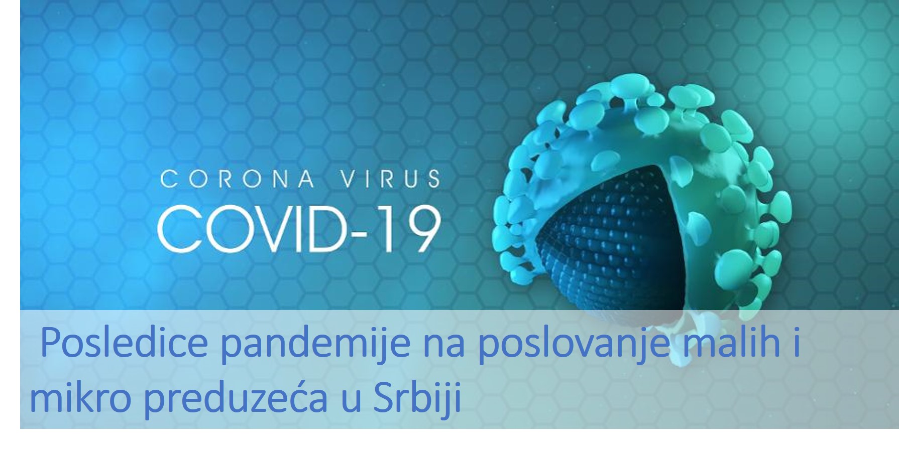Analiza: posledice pandemije na poslovanje mikro i malih preduzeća u Srbiji